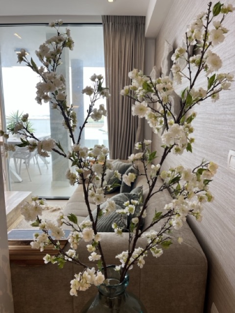 IMG_3474 normaal.jpeg